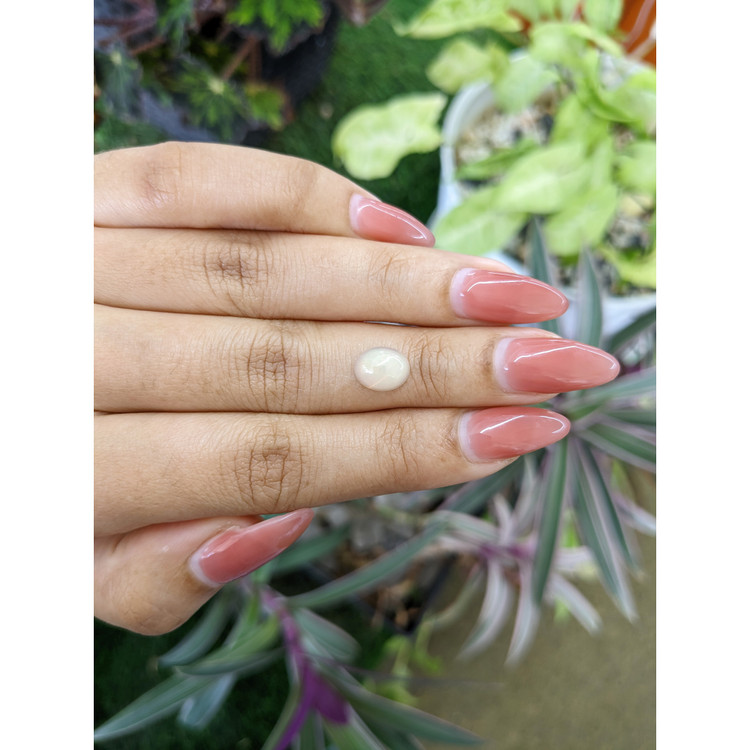 1.27 Ct. Cabochon White Opal from Australia