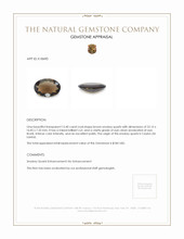 15.40 Ct. Smokey Quartz from Ceylon (Sri Lanka) Appraisal