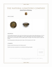 9.90 Ct. Brown Smokey Quartz from Ceylon (Sri Lanka) Appraisal