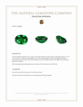 3.03 Ct. Tsavorite Garnet from Tanzania Appraisal