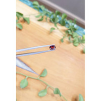 1.17 Ct. Garnet from Madagascar Life Style