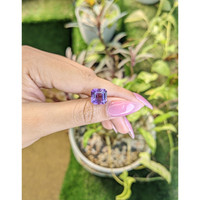 4.70 Ct. Amethyst from Ceylon (Sri Lanka) Life Style