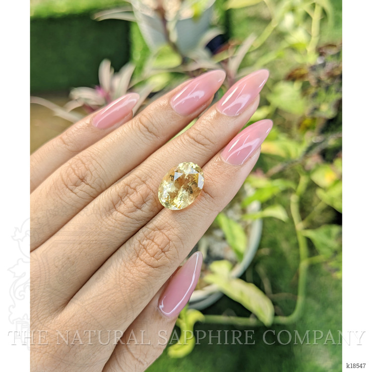 7.32 Ct. Citrine from Ceylon (Sri Lanka)