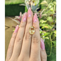 7.32 Ct. Citrine from Ceylon (Sri Lanka) Life Style