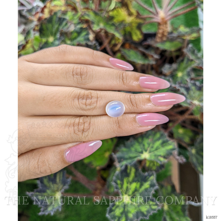 5.09 Ct. Cabochon Moonstone from Ceylon (Sri Lanka)