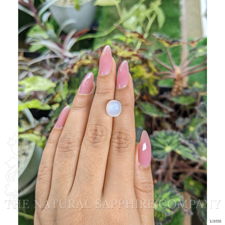 5.11 Ct. Cabochon Moonstone from Ceylon (Sri Lanka)