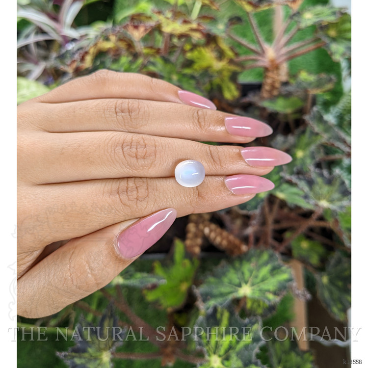 5.11 Ct. Cabochon Moonstone from Ceylon (Sri Lanka)