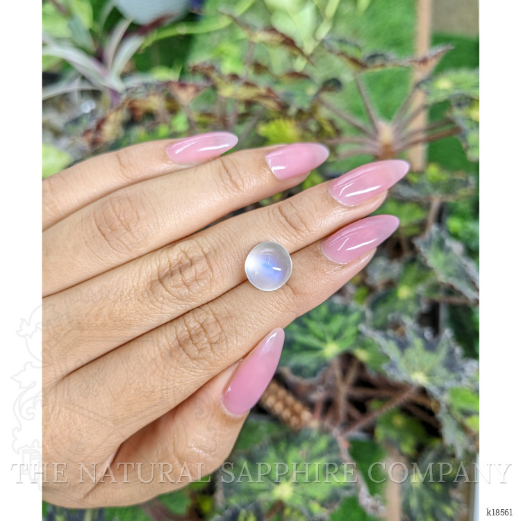 4.49 Ct. Cabochon Moonstone from Ceylon (Sri Lanka)