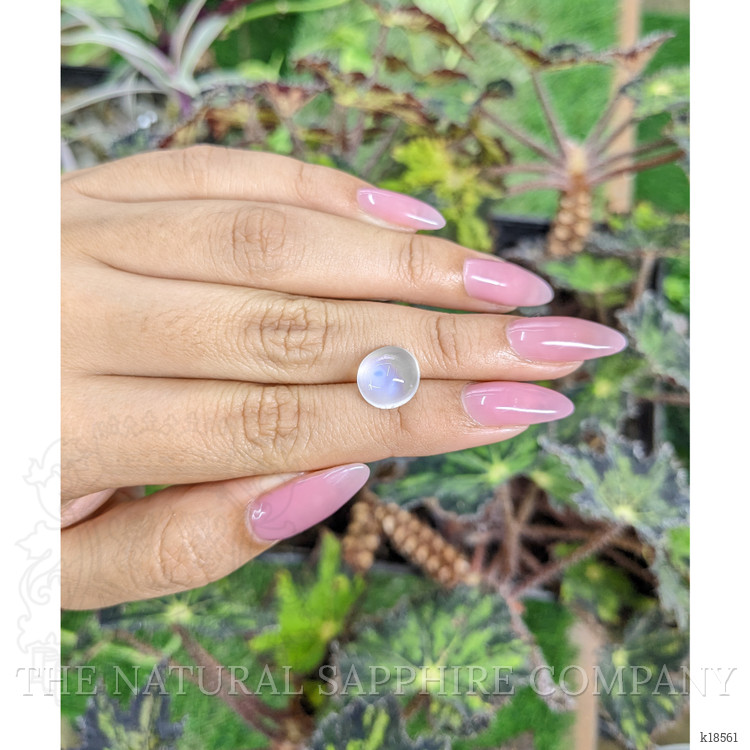 4.49 Ct. Cabochon Moonstone from Ceylon (Sri Lanka)