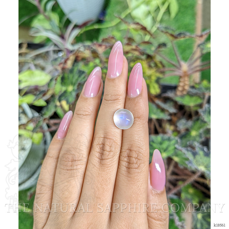 4.49 Ct. Cabochon Moonstone from Ceylon (Sri Lanka)
