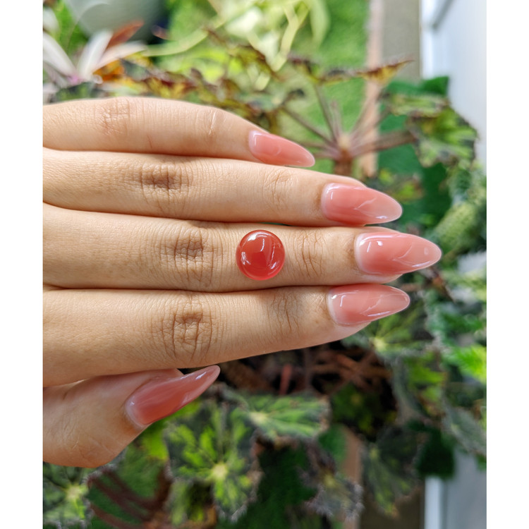 4.76 Ct. Cabochon Carnelian from Brazil