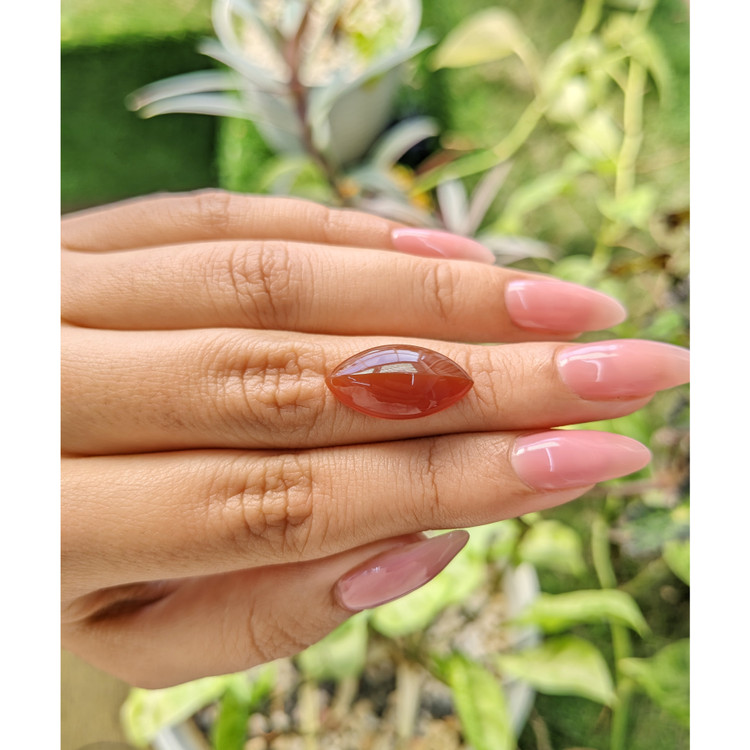 7.23 Ct. Cabochon Carnelian from Brazil