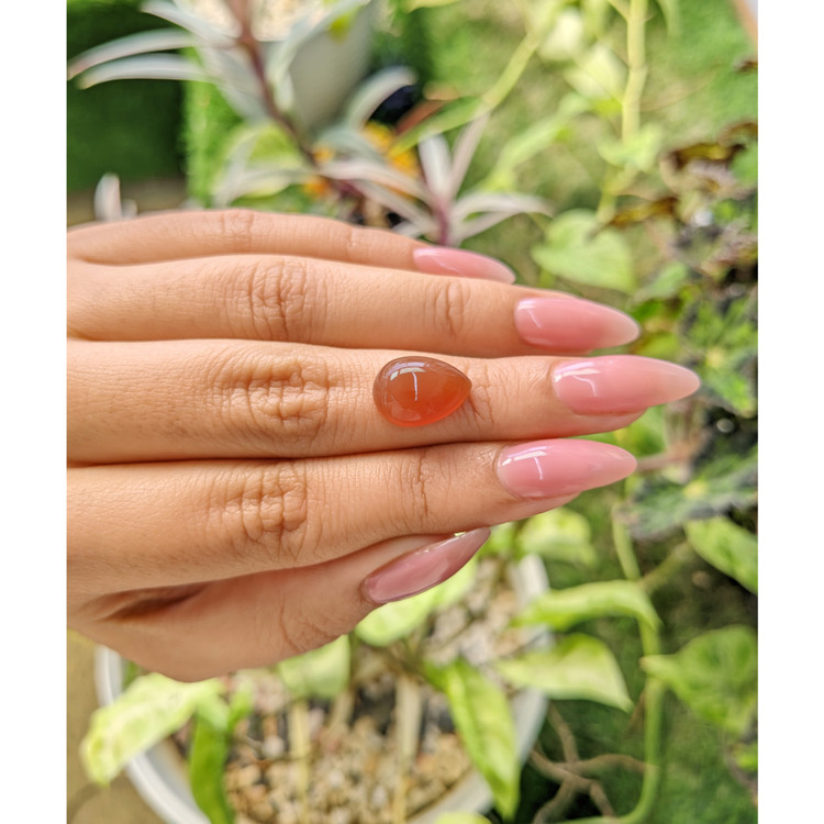 5.63 Ct. Cabochon Carnelian from Brazil