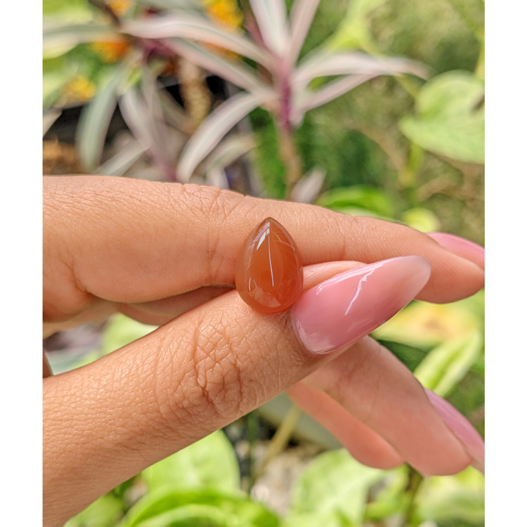 5.63 Ct. Cabochon Carnelian from Brazil