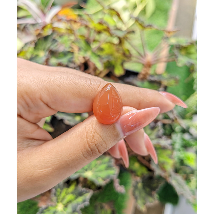 11.34 Ct. Cabochon Carnelian from Brazil