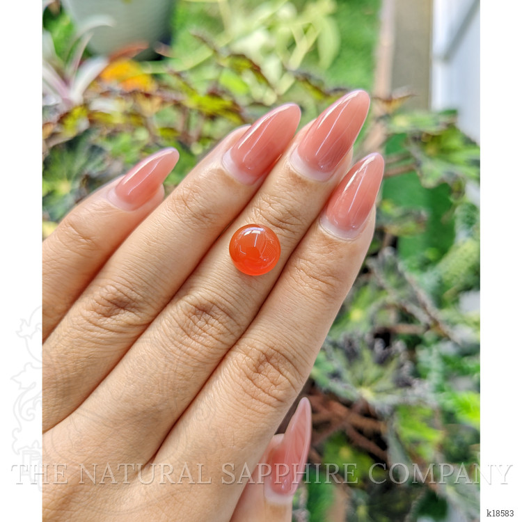 4.29 Ct. Cabochon Carnelian from Brazil