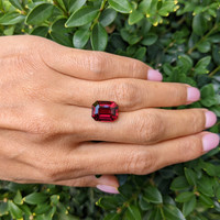 7.31 Ct. Garnet from Ceylon (Sri Lanka) Life Style