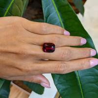 11.14 Ct. Garnet from Ceylon (Sri Lanka) Life Style