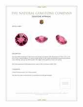 3.48 Ct. Garnet from Ceylon (Sri Lanka) Appraisal