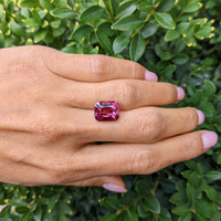 7.55 Ct. Garnet from Ceylon (Sri Lanka) Life Style