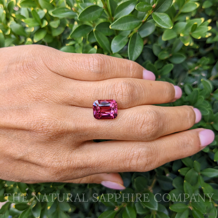 7.55 Ct. Garnet from Ceylon (Sri Lanka)