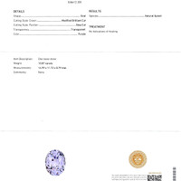 10.87 Ct. Spinel from Ceylon (Sri Lanka) Scan Report