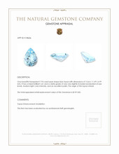 7.93 Ct. Blue Topaz from Brazil Appraisal