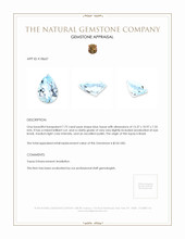 7.72 Ct. Blue Topaz from Brazil Appraisal