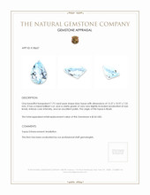 7.72 Ct. Topaz from Brazil Appraisal