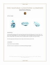 6.60 Ct. Topaz from Brazil Appraisal