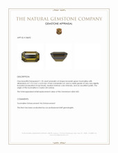 1.18 Ct. Tourmaline from Ceylon (Sri Lanka) Appraisal