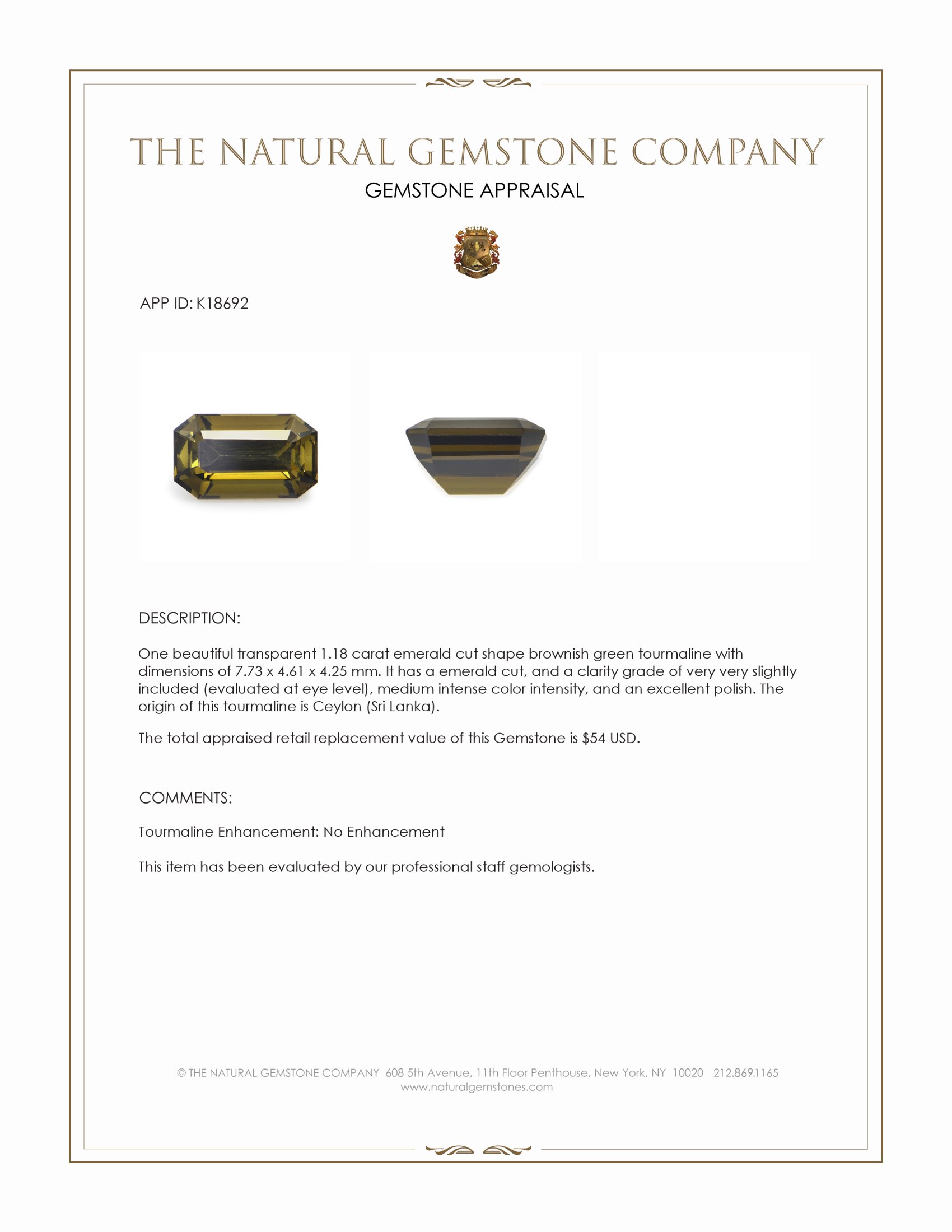 1.18 Ct. Tourmaline from Ceylon (Sri Lanka)