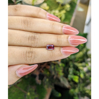 1.58 Ct. Tourmaline from Ceylon (Sri Lanka) Life Style