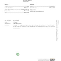 1.34 Ct. Paraiba Tourmaline from Africa Scan Report