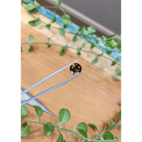 3.89 Ct. Tourmaline from Madagascar Life Style