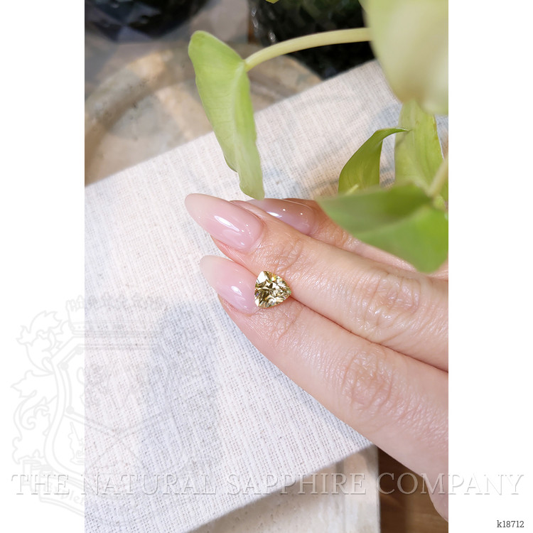 3.16 Ct. Zircon from Ceylon (Sri Lanka)