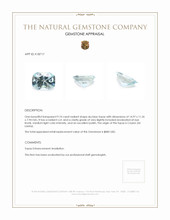 9.10 Ct. Sky Blue Topaz from Ceylon (Sri Lanka) Appraisal