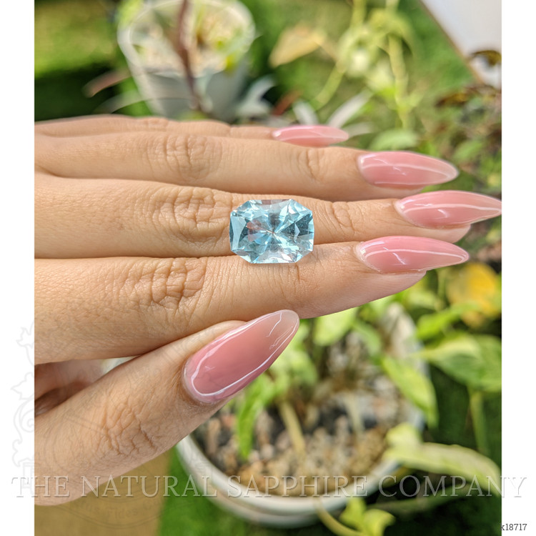 9.10 Ct. Topaz from Ceylon (Sri Lanka)