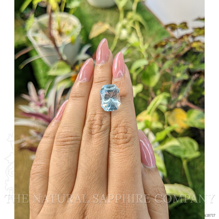 9.10 Ct. Topaz from Ceylon (Sri Lanka)