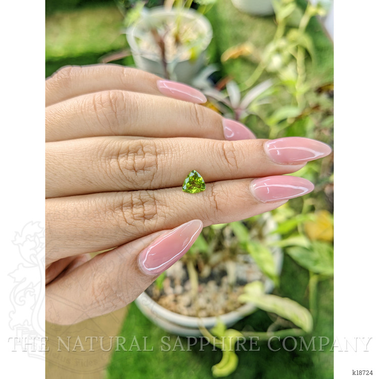 0.90 Ct. Peridot from Pakistan