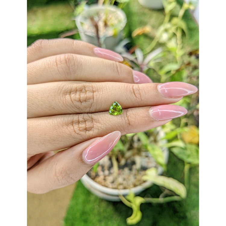 0.90 Ct. Peridot from Pakistan