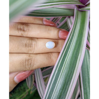 1.38 Ct. Cabochon White Opal from Australia Life Style