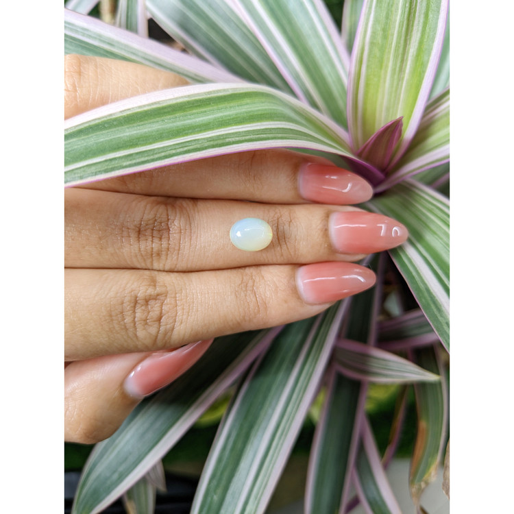 1.13 Ct. Cabochon White Opal from Australia