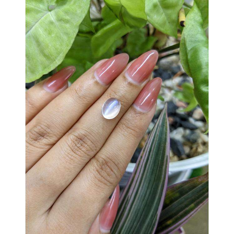 3.04 Ct. Cabochon Moonstone from Madagascar