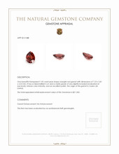 1.05 Ct. Garnet from Ceylon (Sri Lanka) Appraisal