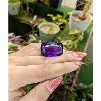 48.43 Ct. Amethyst from Ceylon (Sri Lanka) Life Style