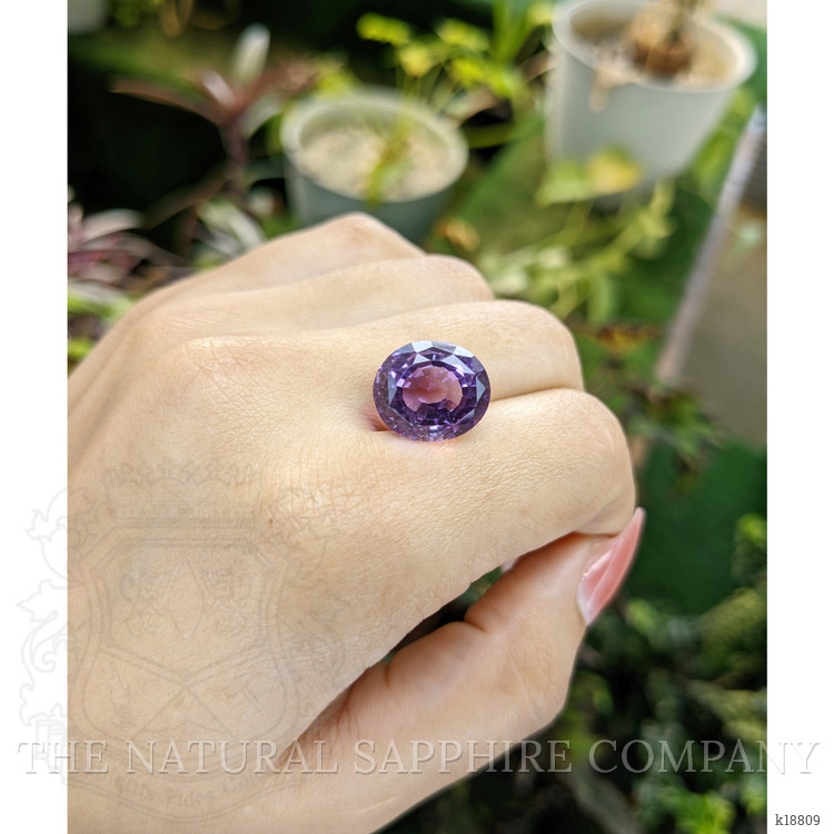 10.26 Ct. Amethyst from Ceylon (Sri Lanka)