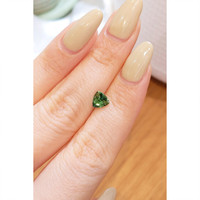 0.78 Ct. Tourmaline from Brazil Life Style