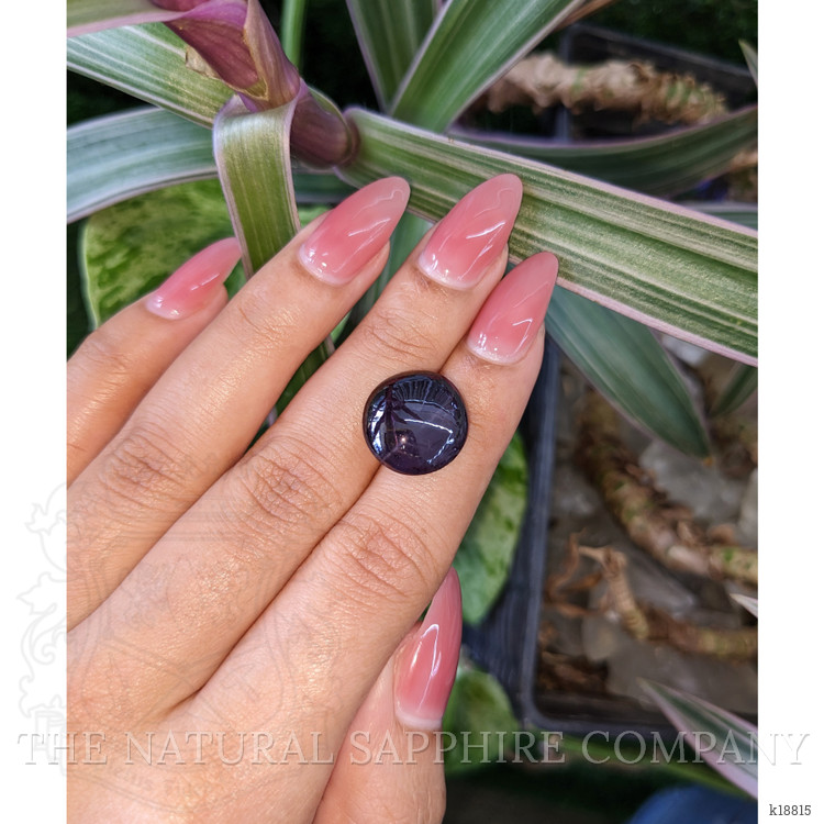 18.24 Ct. Purple Star Garnet from Ceylon (Sri Lanka)