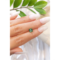 1.06 Ct. Tourmaline from Brazil Life Style